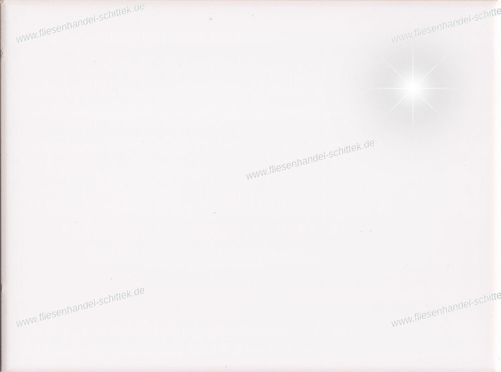 Fliese - 15 x 20 cm - Steuler, 54475 Miko / Sporting / Louisa / Signum / Vicki Weiß