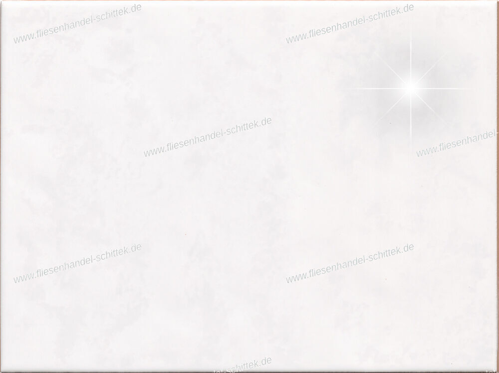 Fliese - 15 x 20 cm - Deutsche Steinzeug, 258113 Fabia Grau Glänzend