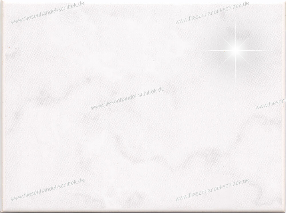 Fliese - 15 x 20 cm - V&B, Art.1315 R601 Viella Grau Glänzend