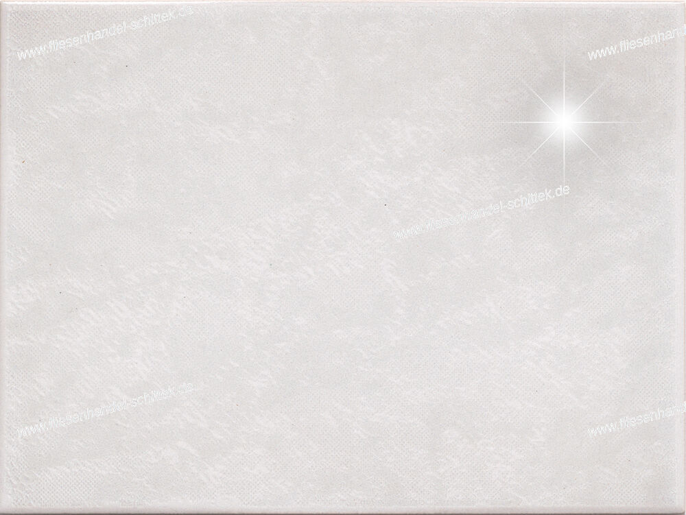 Fliese - 15 x 20 cm - AWS, 252902 grau glänzend