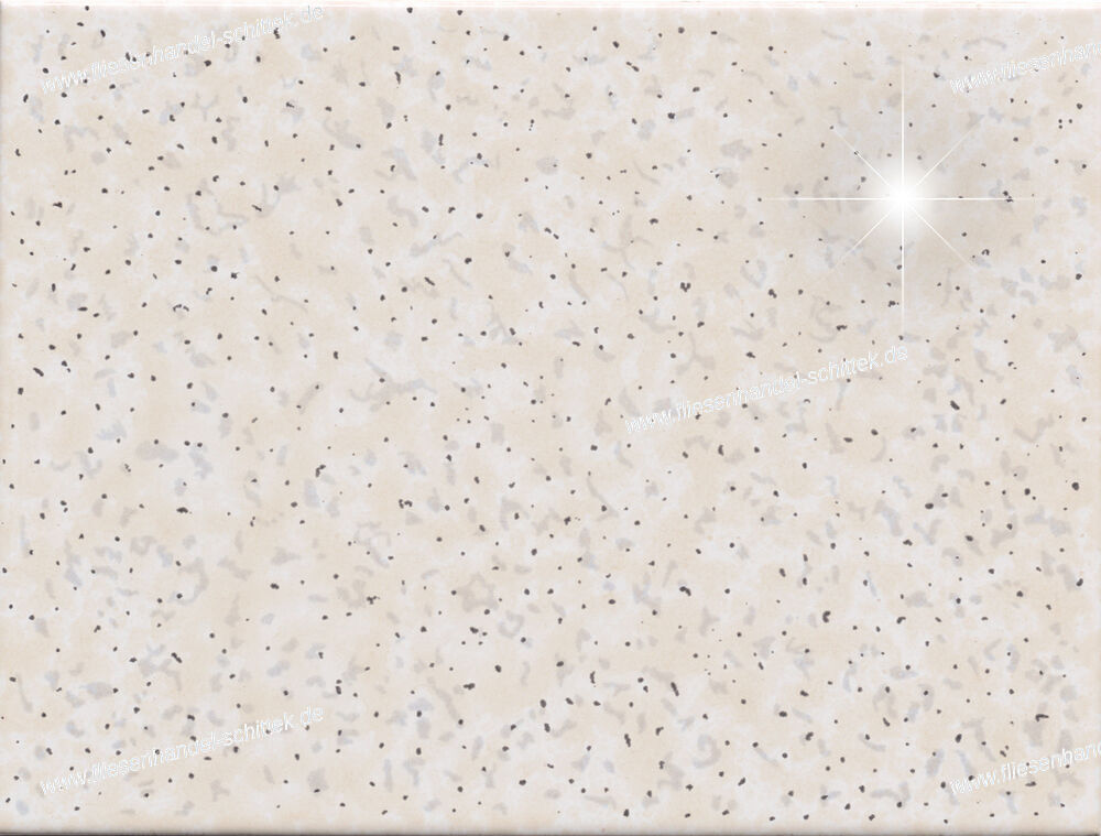 Fliese - 15 x 20 cm - Engers, GRA 540, GRA540