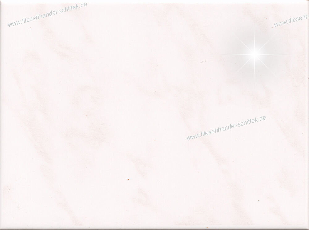 Fliese - 15 x 20 cm - V&B, BA40