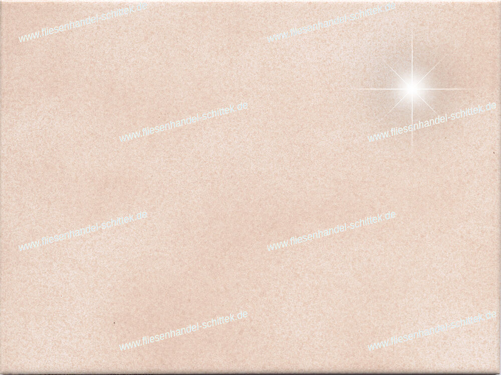 Fliese - 15 x 20 cm - Engers, BA540