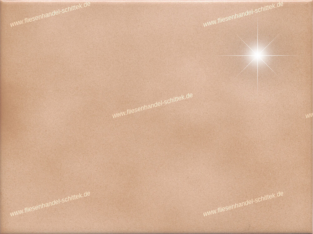 Fliese - 15 x 20 cm - Spea, beige-braun glänzend geflammt