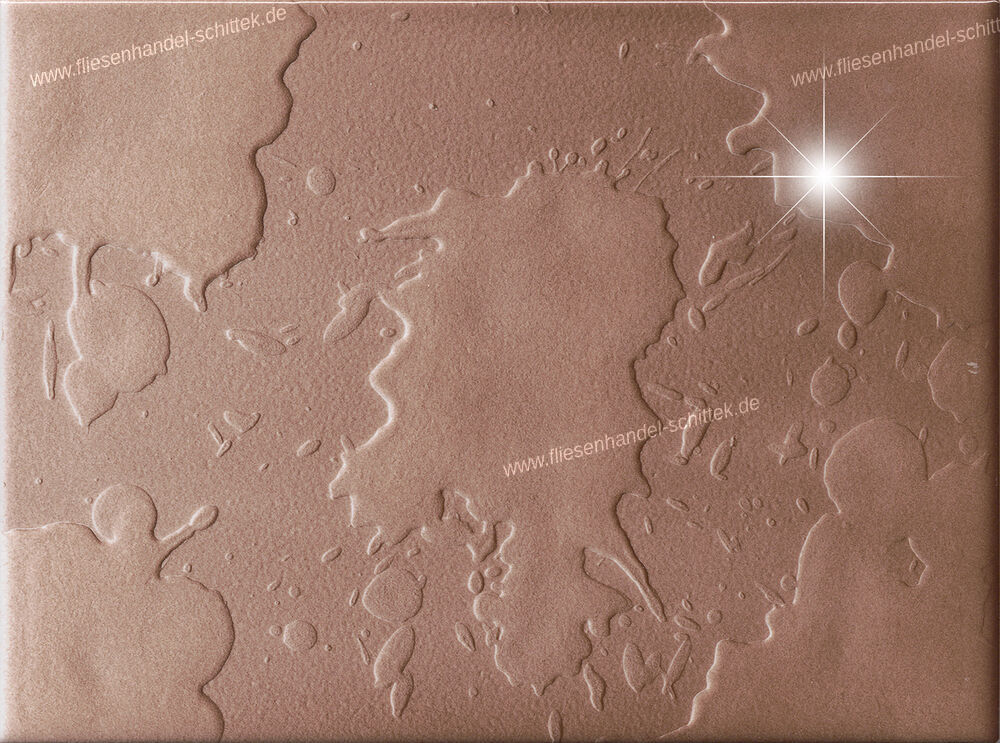 Fliese - 15 x 20 cm - Ricchetti, Acquario Visone