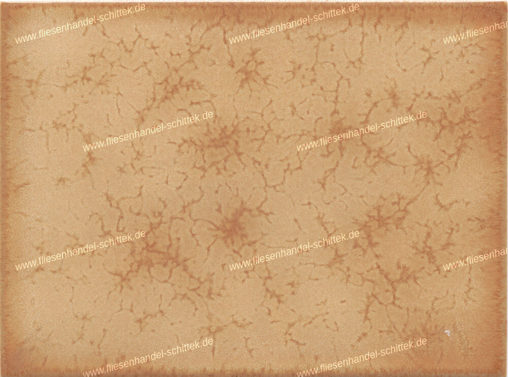 Fliese - 15 x 20 cm - Servais, 208176 Tropica Bambus