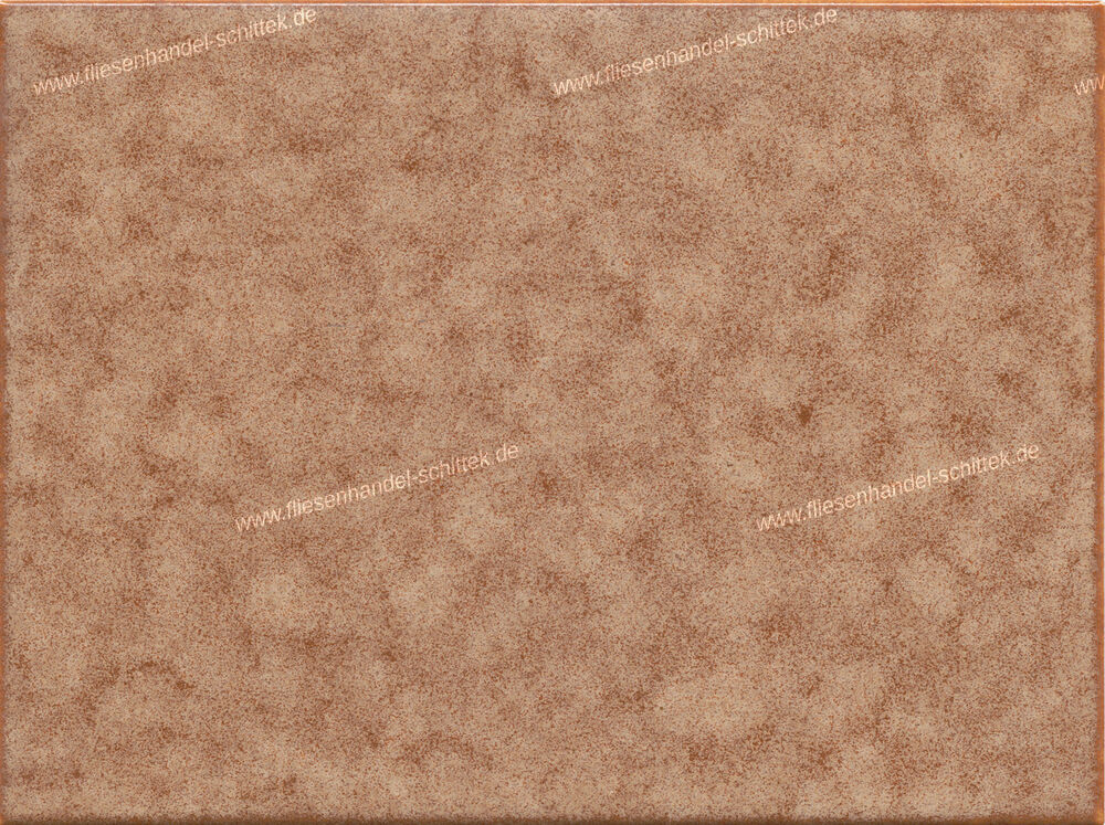 Fliese - 15 x 20 cm - Engers, PR 510 braun-beige gesprenkelt, 5098