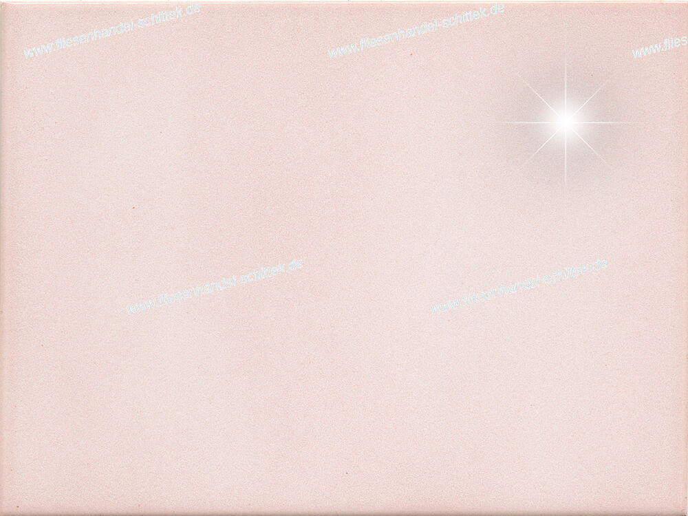 Fliese - 15 x 20 cm - V&B, G40