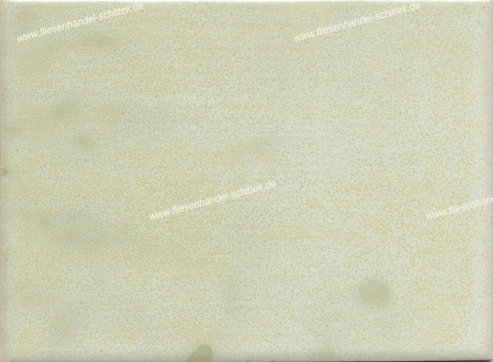 Fliese - 15 x 20 cm - Steuler, 54284 Moos Uni
