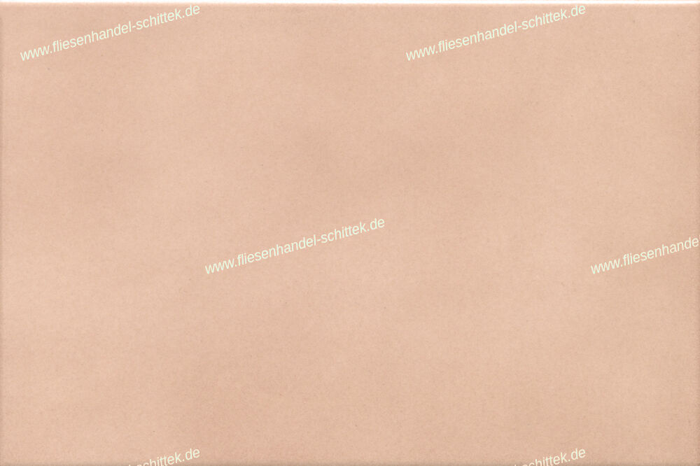 Fliese - 15 x 22.5 cm - Sarreguemines, Flores Roseau beige matt