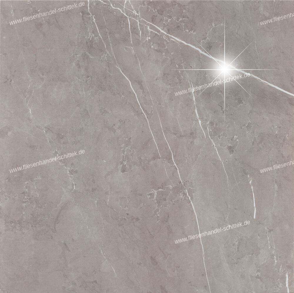 Fliese - 60 x 60 cm - Alpas Euro, 93847 Ciana Lux