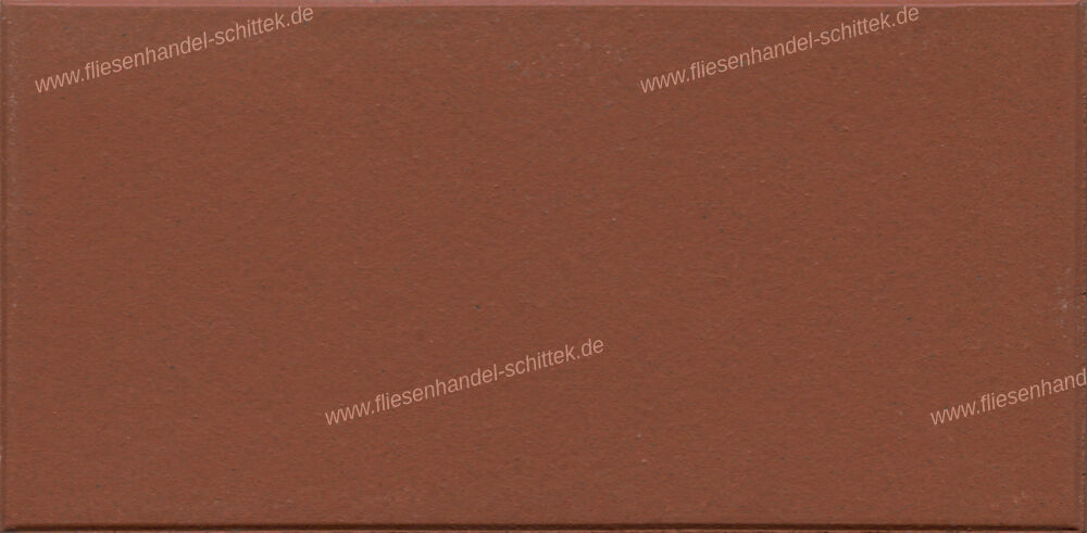 Fliese - 10 x 20 cm - Argelith, 1831